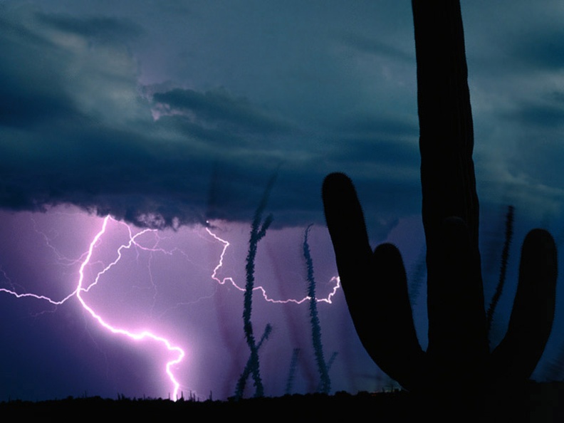 Desert Storm